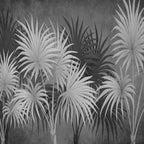 Papier peint panoramique Palmes noir et blanc : vue du motif, palmes en éventail blanches et gris foncé sur fond gris patiné