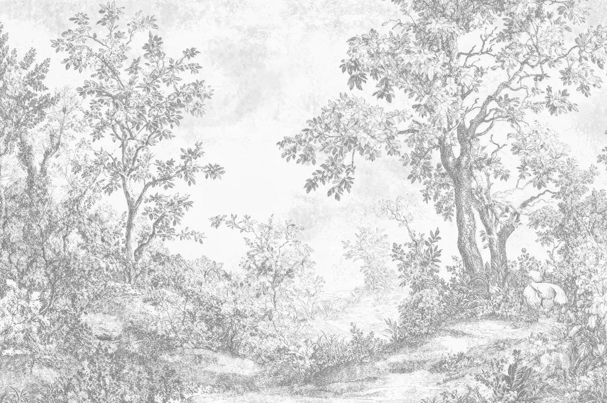 Papier peint panoramique Sous-bois au crayon gris : vue à plat, sous-bois dessiné au crayon gris, grands arbres, chemin et petit animal