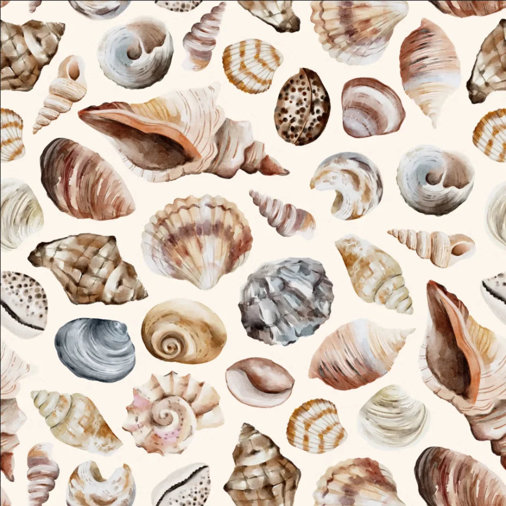 Papier peint panoramique Coquillages aquarelle : vue à plat, coquillages et conques à l'aquarelle en beige, brun et gris bleuté, serrés sur fond crème