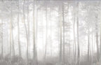 Papier peint panoramique Forêt de pins dans la brume gris perle : vue à plat, troncs de pins alignés dans une brume gris perle