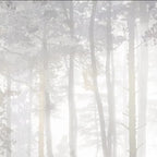 Papier peint panoramique Forêt de pins dans la brume gris perle : détail du motif, troncs dans la brume