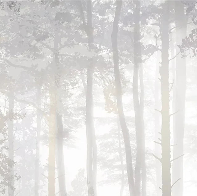 Papier peint panoramique Forêt de pins dans la brume gris perle : détail du motif, troncs dans la brume