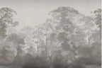 Papier peint panoramique Forêt profonde taupe dans la brume : vue à plat, forêt profonde aux cimes taupe dans la brume