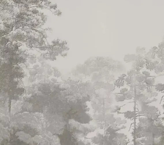 Papier peint panoramique Forêt profonde taupe dans la brume : détail du motif, cimes taupe