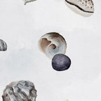 Papier peint panoramique Coquillages bleu brume : détail du motif, coquillage et galet aquarelle sur fond bleu brume