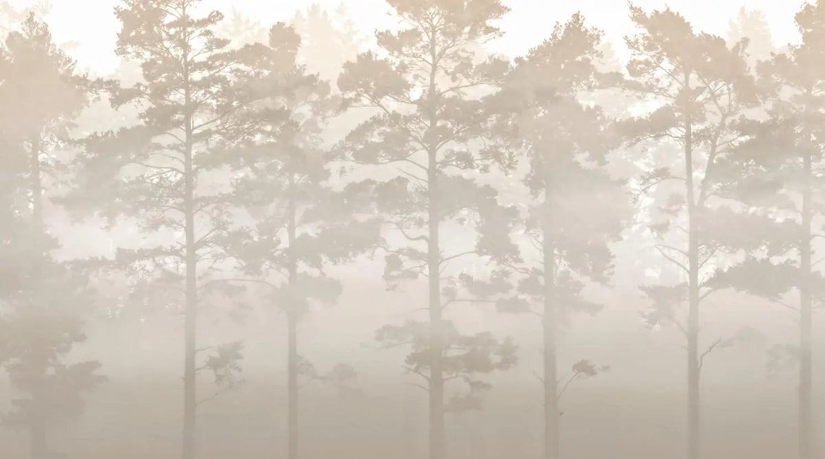 Papier peint panoramique Pins dans la brume sable : vue à plat, silhouettes de pins dans une brume couleur sable