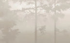 Papier peint panoramique Pins dans la brume sable : détail du motif, troncs estompés