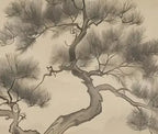 Papier peint panoramique Pin et montagnes à l'encre sépia : détail du motif, aiguilles et branches du pin à l'encre
