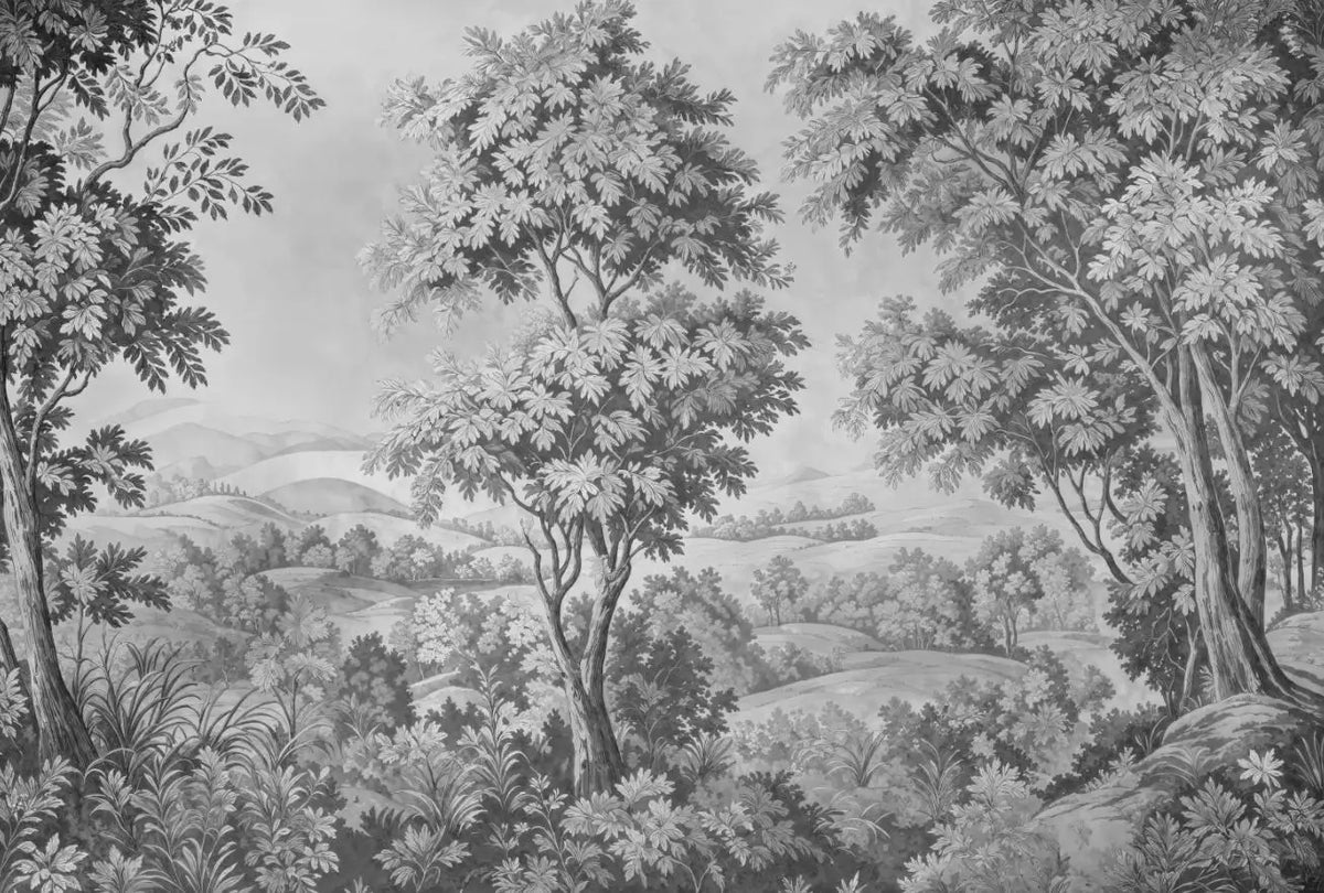 Papier peint panoramique Verdure ancienne gris perle : vue à plat, grands arbres et vallon d'une verdure ancienne, en gris perle