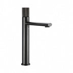 Stelane – mitigeur lavabo, gun metal