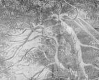 Papier peint panoramique Arbre penché sur l'eau, gravure grise : détail du motif, branches penchées