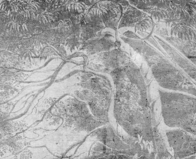 Papier peint panoramique Arbre penché sur l'eau, gravure grise : détail du motif, branches penchées