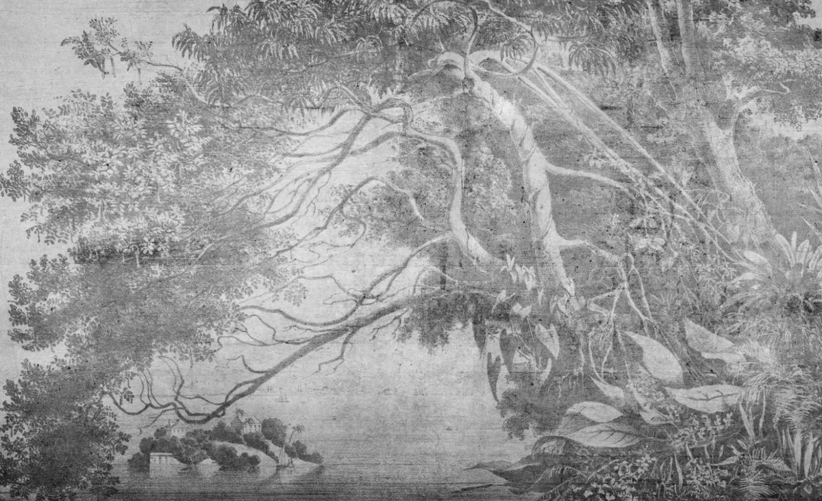 Papier peint panoramique Arbre penché sur l'eau, gravure grise : vue à plat, grand arbre penché au-dessus de l'eau, feuillages gravés en gris