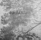 Papier peint panoramique Arbre penché sur l'eau, gravure grise : détail du motif, feuillages gravés