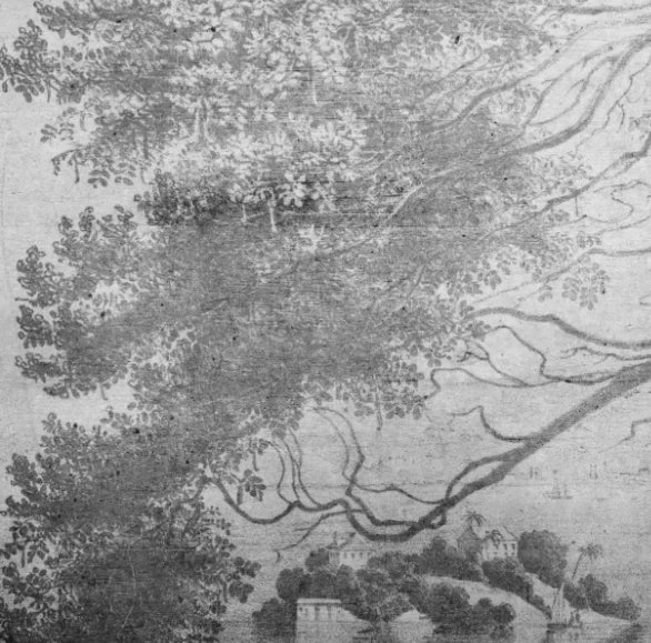 Papier peint panoramique Arbre penché sur l'eau, gravure grise : détail du motif, feuillages gravés