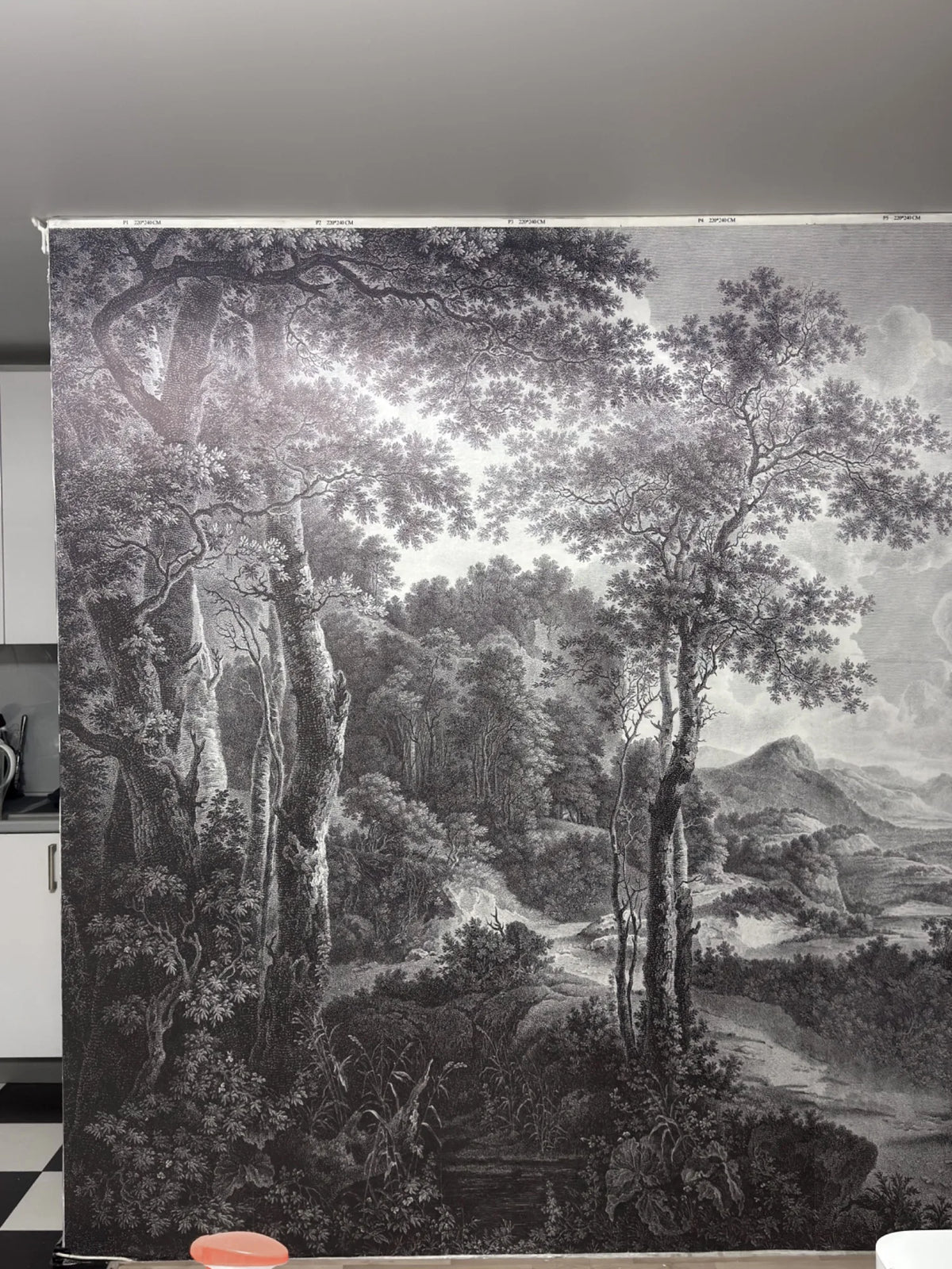 Papier peint Forêt ancienne noir et blanc posé chez un client de notre atelier